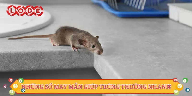 Những số may mắn giúp trúng thưởng nhanh